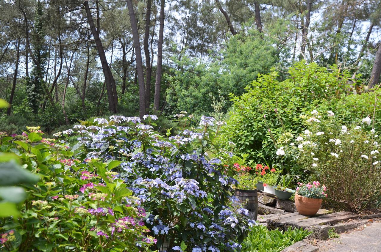 Bed and Breakfast L'Hippocampe Sérent Exteriér fotografie